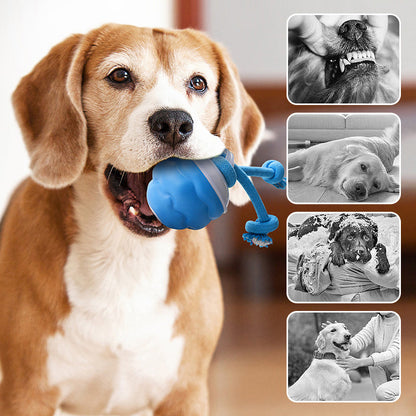 🐾 50% RABATT! 🎾 Interaktiv Elektronisk Boll för Husdjur – Automatisk Rörelse, Tuggmotståndskraftig & Lugnande för Katter/Hundar 🐱🐶📦