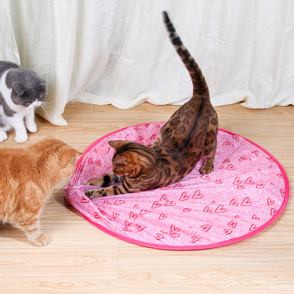 🔥New Year Sale 50% OFF🐱2 in 1 Simulated Interactive Hunting Cat Toy✨