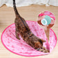 🔥New Year Sale 50% OFF🐱2 in 1 Simulated Interactive Hunting Cat Toy✨